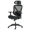 Ергономичен стол CAEN-2