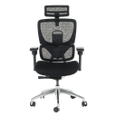 Ергономичен стол GANDER-1