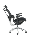 Ергономичен стол GANDER-4