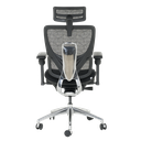 Ергономичен стол GANDER-5
