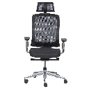 Ергономичен стол ALBI-1