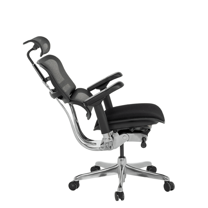 Ергономичен стол ERGOHUMAN ELITE 2 - черна рамка-4