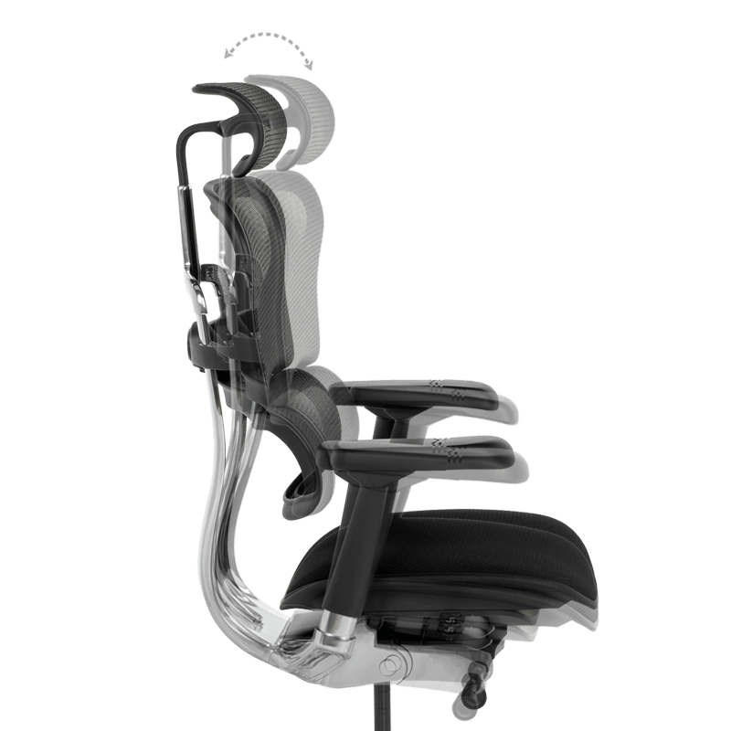 Ергономичен стол ERGOHUMAN ELITE 2 - черна рамка-15