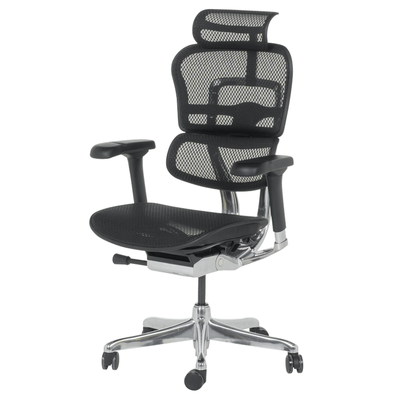 Ергономичен стол ERGOHUMAN ELITE 2 - черна рамка-3