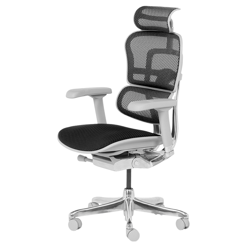 Ергономичен стол ERGOHUMAN ELITE 2 - сива рамка-3