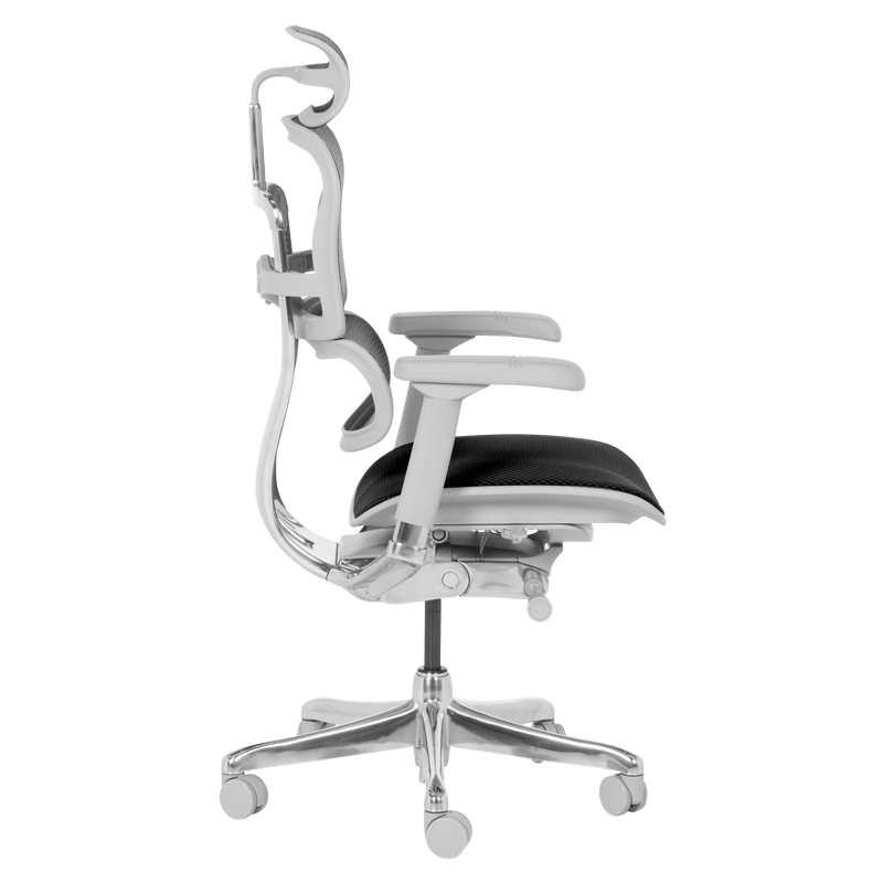 Ергономичен стол ERGOHUMAN ELITE 2 - сива рамка-4