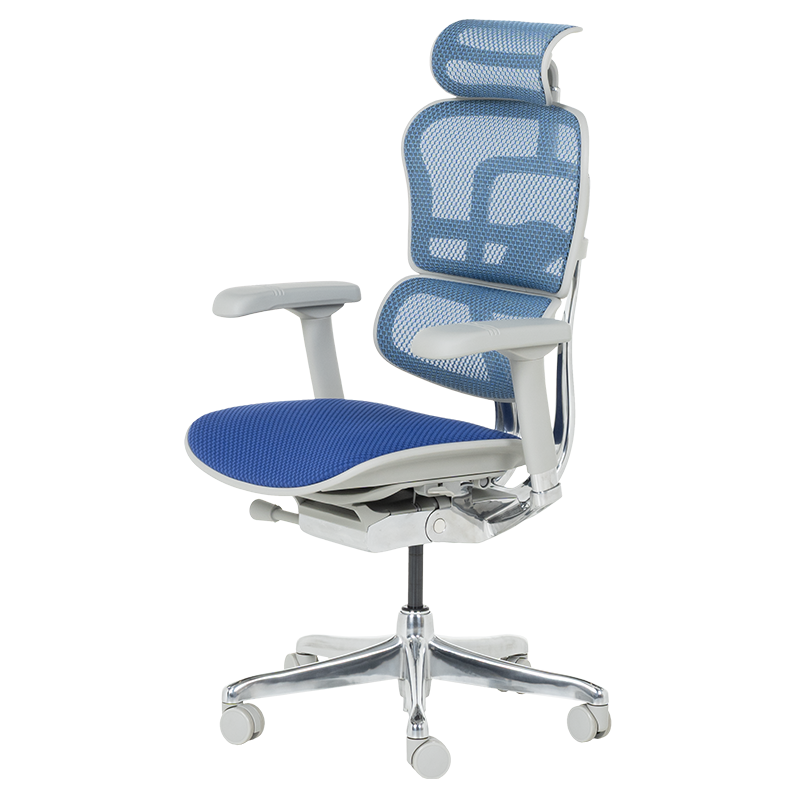 Ергономичен стол ERGOHUMAN ELITE 2 - сива рамка-3