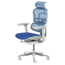 Ергономичен стол ERGOHUMAN ELITE 2 - сива рамка-3
