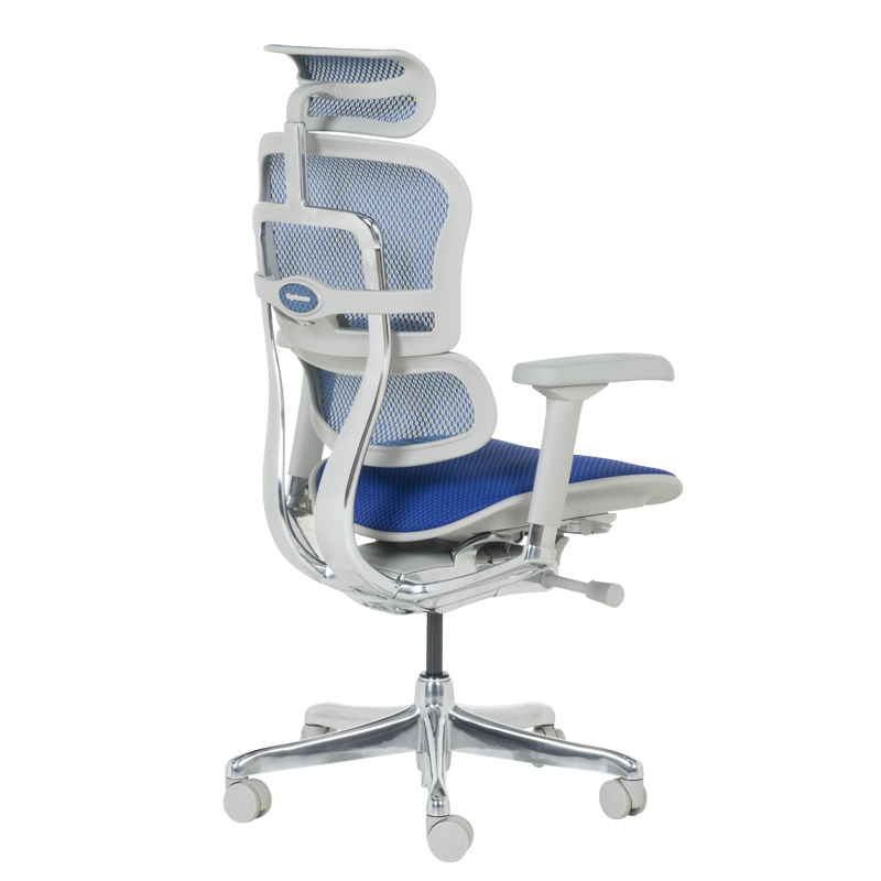 Ергономичен стол ERGOHUMAN ELITE 2 - сива рамка-5