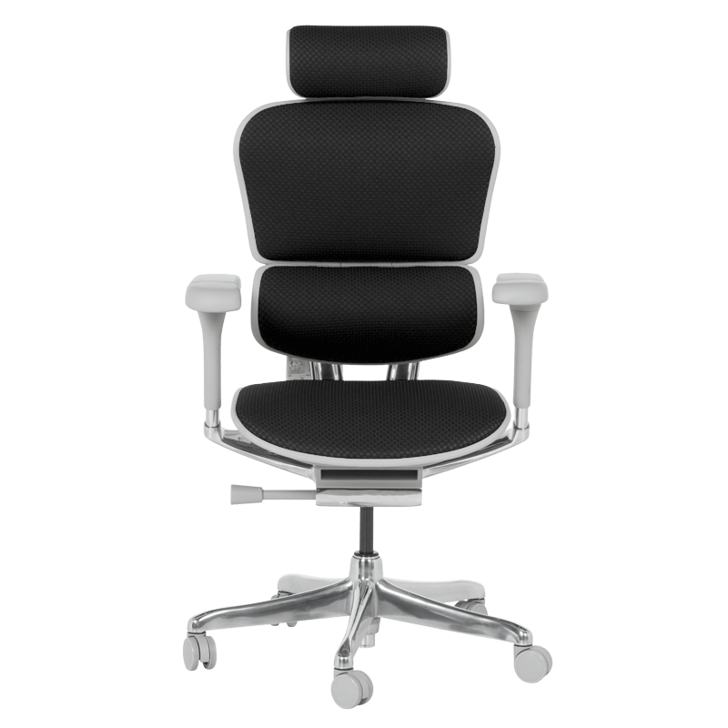 Ергономичен стол ERGOHUMAN ELITE 2 - сива рамка-2