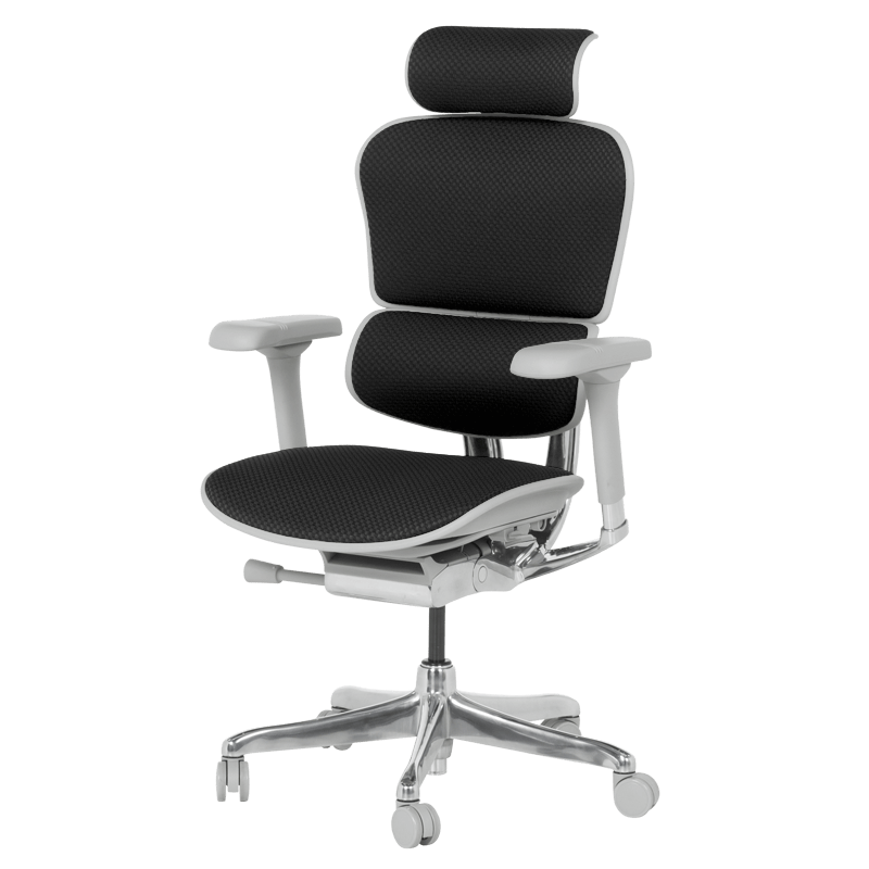 Ергономичен стол ERGOHUMAN ELITE 2 - сива рамка-3