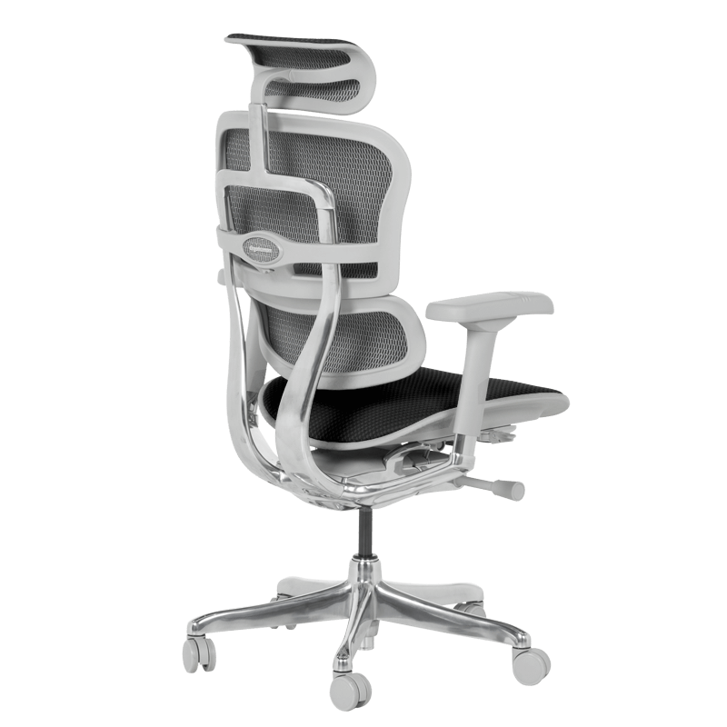 Ергономичен стол ERGOHUMAN ELITE 2 - сива рамка-5