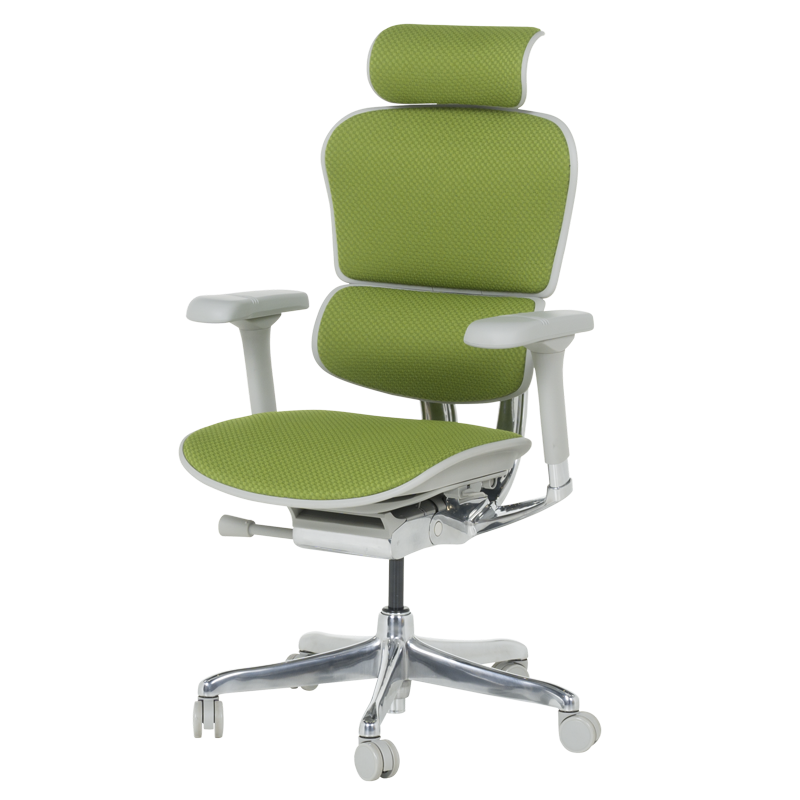 Ергономичен стол ERGOHUMAN ELITE 2 - сива рамка-3