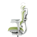 Ергономичен стол ERGOHUMAN ELITE 2 - сива рамка-10
