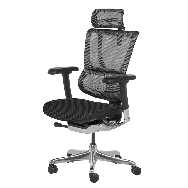 Ергономичен стол ERGOHUMAN IOO ELITE 2 - черна рамка-3
