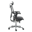 Ергономичен стол ERGOHUMAN IOO ELITE 2 - черна рамка-4