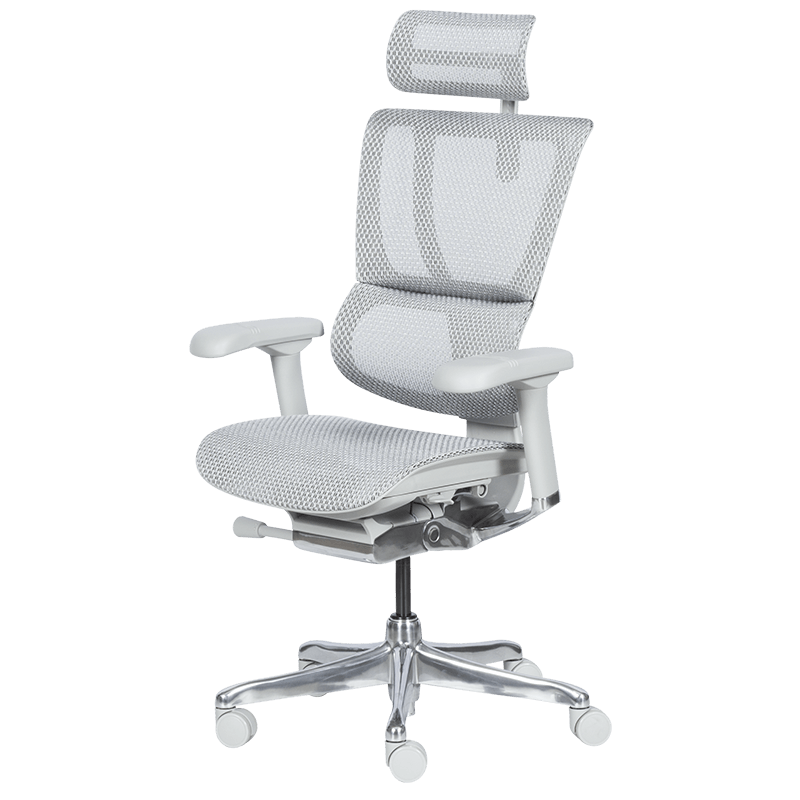 Ергономичен стол ERGOHUMAN IOO ELITE 2 - сива рамка-3