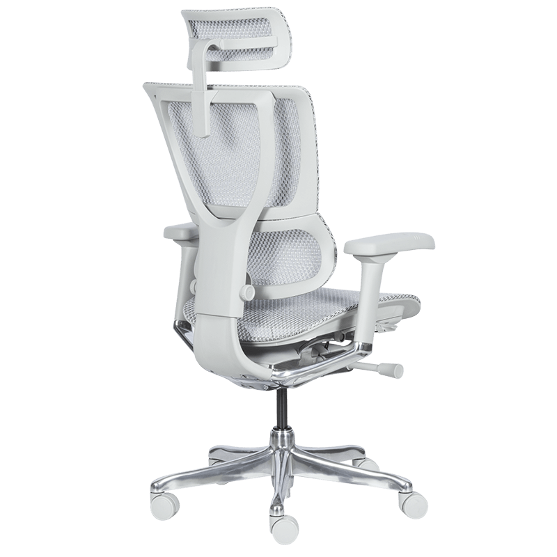 Ергономичен стол ERGOHUMAN IOO ELITE 2 - сива рамка-5