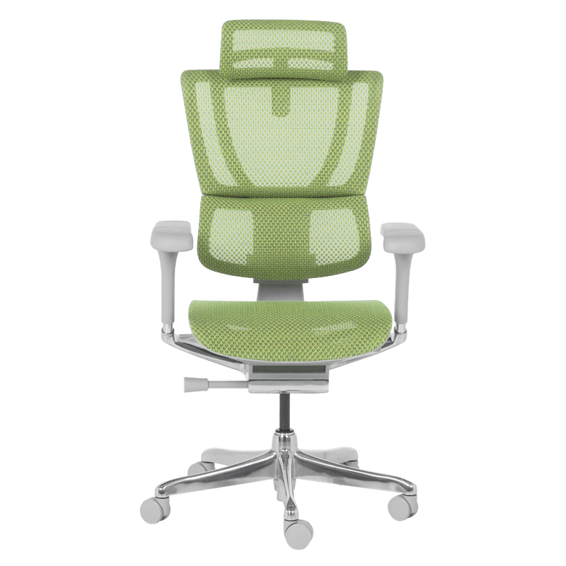 Ергономичен стол ERGOHUMAN IOO ELITE 2 - сива рамка-2