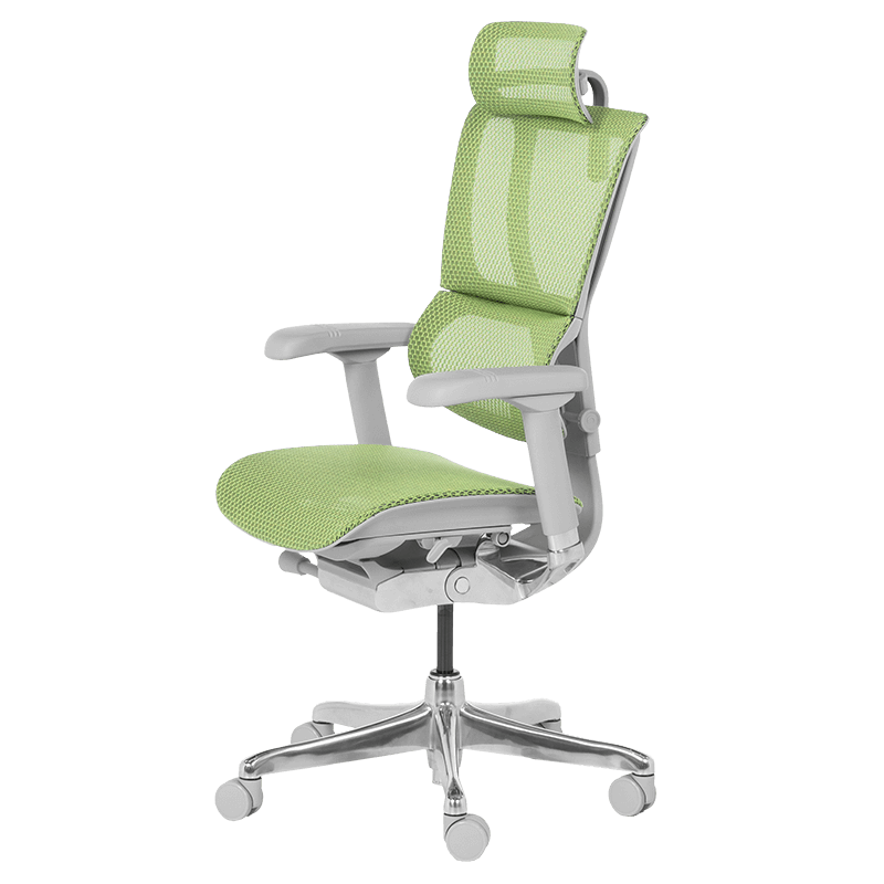 Ергономичен стол ERGOHUMAN IOO ELITE 2 - сива рамка-3