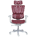 Ергономичен стол ERGOHUMAN IOO ELITE 2 - сива рамка-1