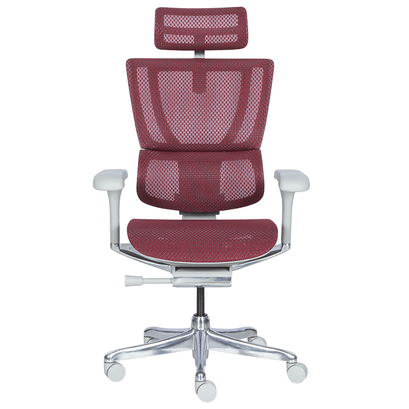 Ергономичен стол ERGOHUMAN IOO ELITE 2 - сива рамка-2