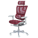 Ергономичен стол ERGOHUMAN IOO ELITE 2 - сива рамка-3