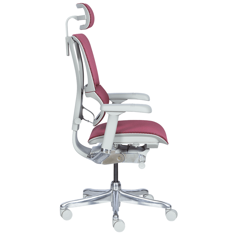 Ергономичен стол ERGOHUMAN IOO ELITE 2 - сива рамка-4