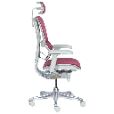 Ергономичен стол ERGOHUMAN IOO ELITE 2 - сива рамка-4
