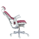 Ергономичен стол ERGOHUMAN IOO ELITE 2 - сива рамка-5