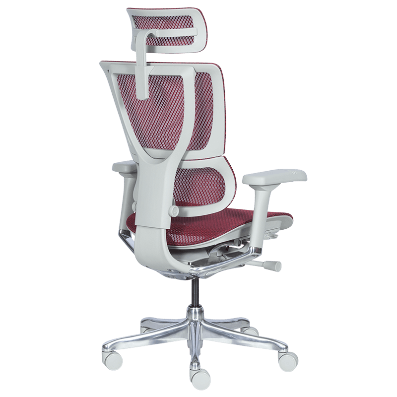 Ергономичен стол ERGOHUMAN IOO ELITE 2 - сива рамка-6