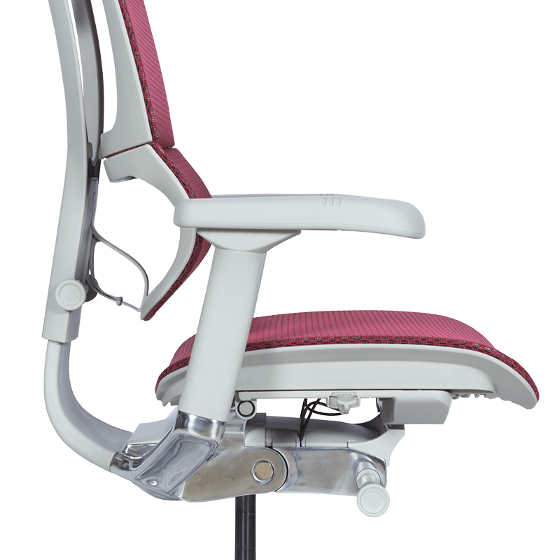 Ергономичен стол ERGOHUMAN IOO ELITE 2 - сива рамка-7