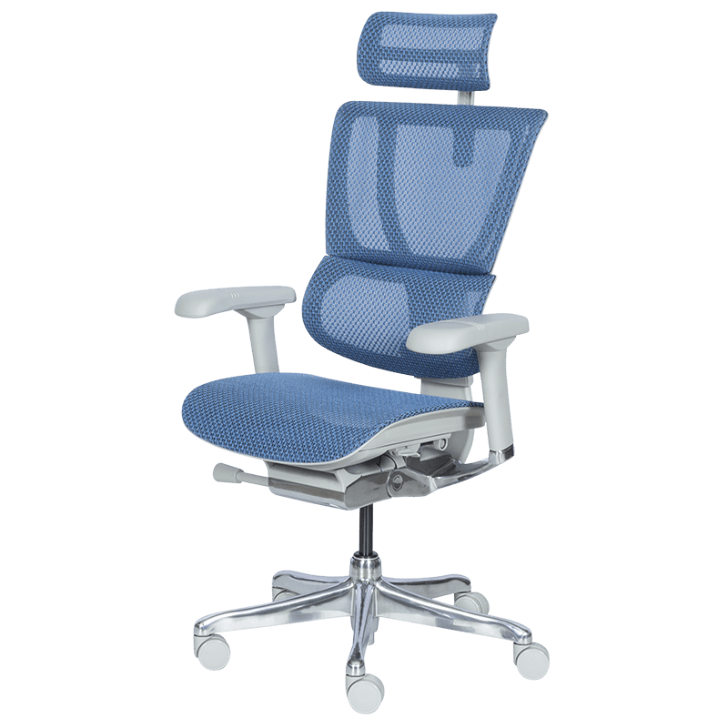 Ергономичен стол ERGOHUMAN IOO ELITE 2 - сива рамка-3