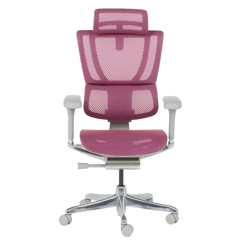Ергономичен стол ERGOHUMAN IOO ELITE 2 - сива рамка-2