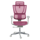 Ергономичен стол ERGOHUMAN IOO ELITE 2 - сива рамка-2