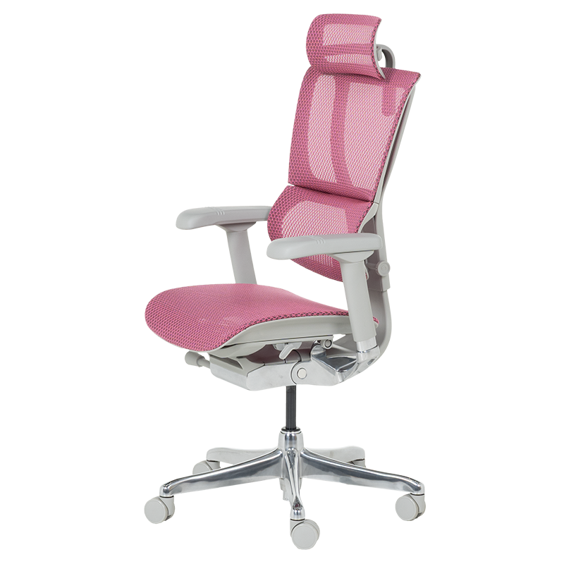 Ергономичен стол ERGOHUMAN IOO ELITE 2 - сива рамка-3