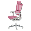 Ергономичен стол ERGOHUMAN IOO ELITE 2 - сива рамка-3