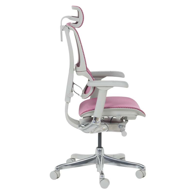 Ергономичен стол ERGOHUMAN IOO ELITE 2 - сива рамка-4