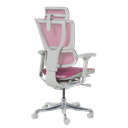 Ергономичен стол ERGOHUMAN IOO ELITE 2 - сива рамка-5