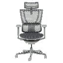 Ергономичен стол ERGOHUMAN IOO ULTRA - сива рамка-1