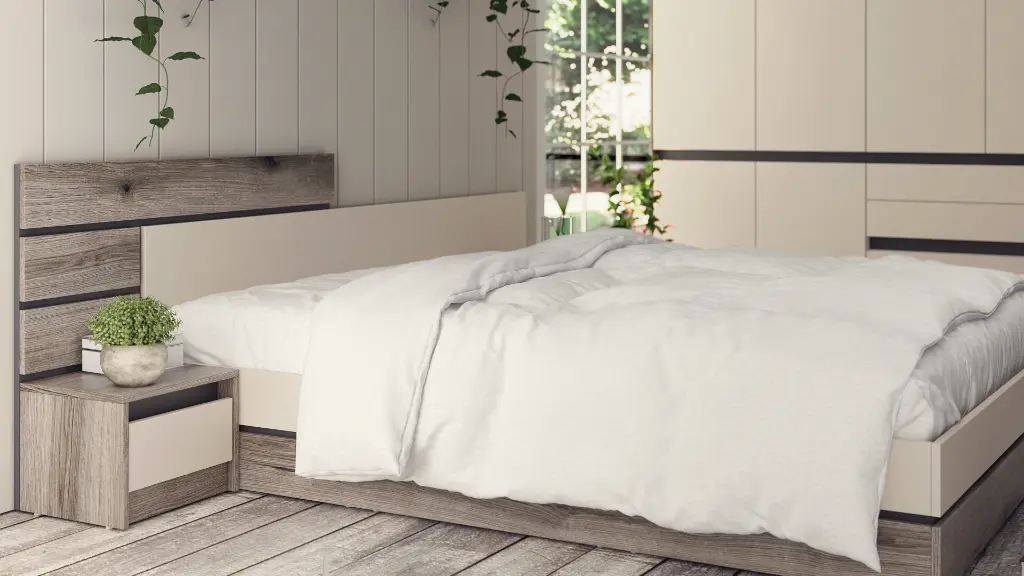 BS Livorno- FEO + champagne- cam03.webp