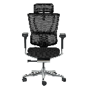 Ергономичен стол ERGOHUMAN IOO ELITE 2 - черна рамка-1