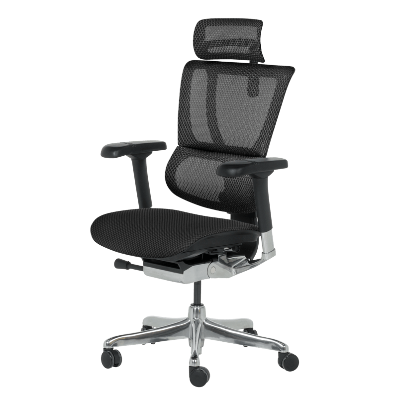 Ергономичен стол ERGOHUMAN IOO ELITE 2 - черна рамка-2