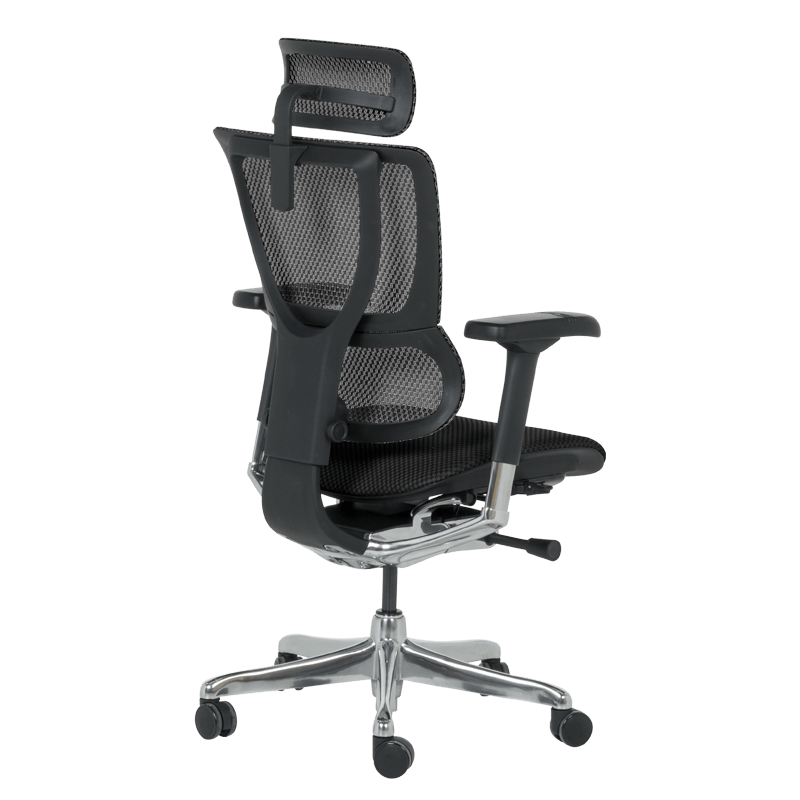 Ергономичен стол ERGOHUMAN IOO ELITE 2 - черна рамка-5