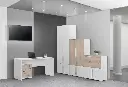 nisak-shkaf-s-plazgascha-vrata-i-tri-c.webp