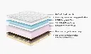 ponto (2).webp
