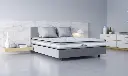 modena (2).webp