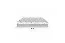 Athletic-main-pic-web-1500x1011h.webp
