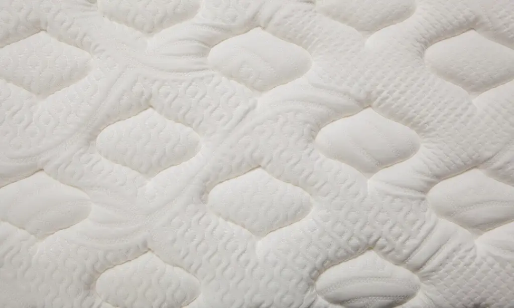 bahama-memory (2).webp