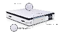 king_line_new.webp